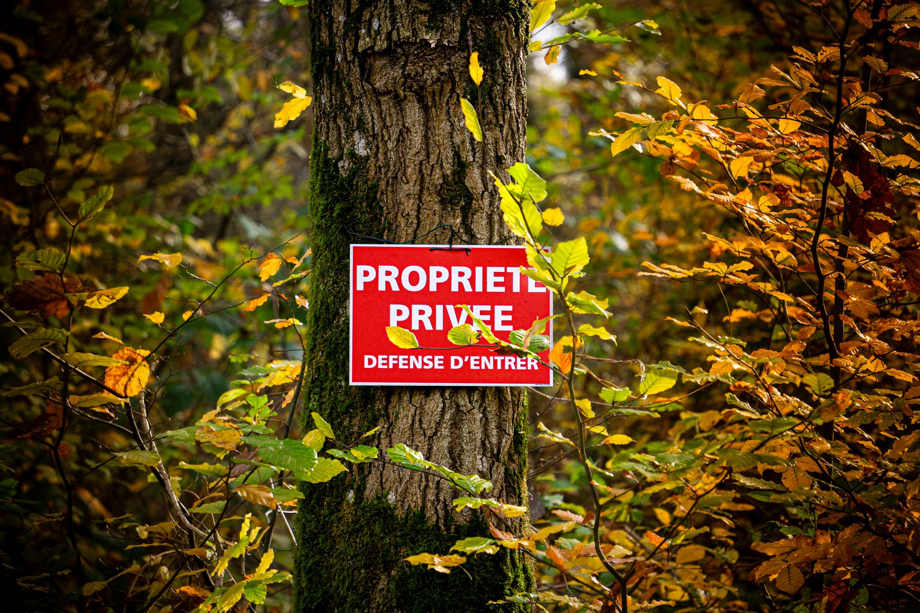 Détective privé à Saint-Maur-des-Fossés